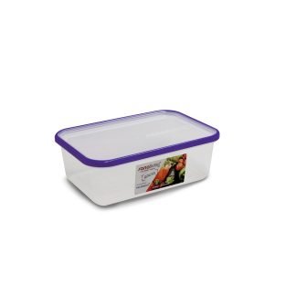 Contenitore con coperchio antibatterico grande 2 l Sanaliving - Viola